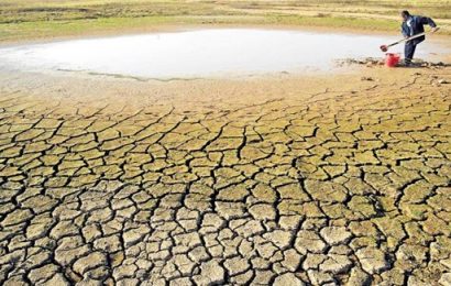 Latam: seguros agrícolas alcanzan máximos históricos por fenómenos climáticos